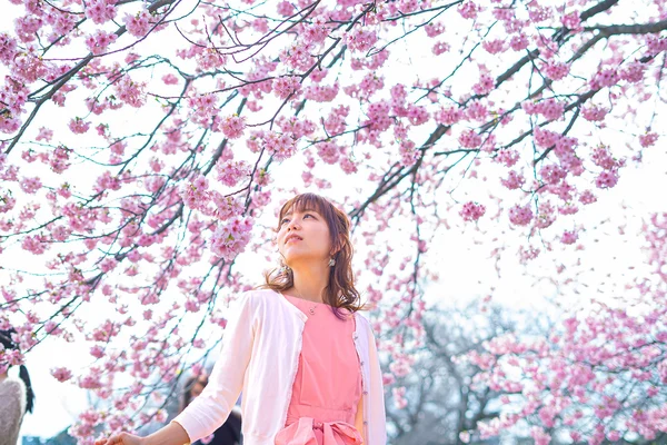 Cherry Blossom Day Tour from Seoul: Nami Island, Rail Bike & Alpaca