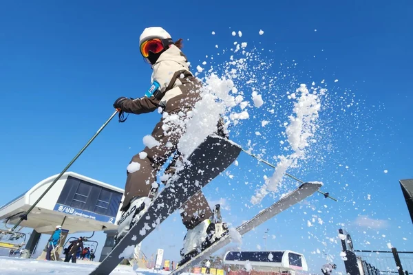 Alpensia Ski and Snowboard Lesson