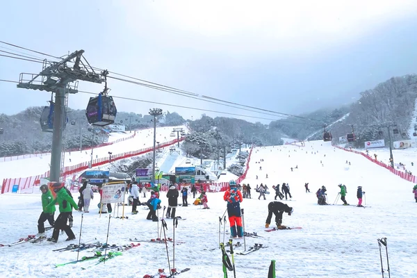 Vivaldi Ski + Eobi Ice Valley