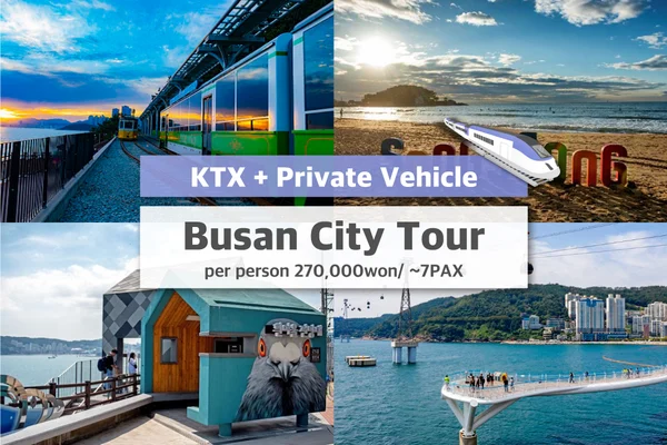 KTX One Day Private Busan City Tour From Seoul(Songdo/Blue Line)