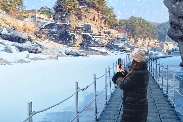 UNESCO Hantan Canyon & DMZ & Seasonal Hot Attractions Day Tour