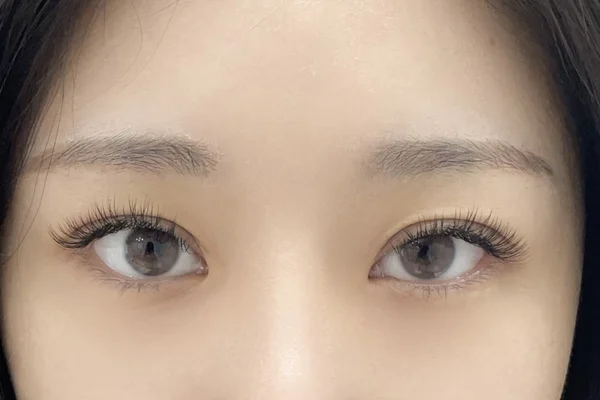 Pingpong Eyelash Salon | Seoul