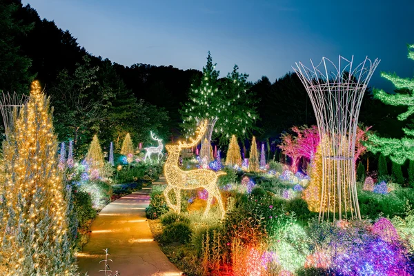 Starlight Festival/ Alpaca/ Nami/ Railbike Day Tour from Seoul