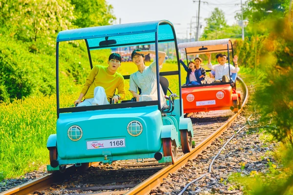 Nami Island/Alpaca/RailBike/Petite/HanBok/Morning Calm PrivateTour