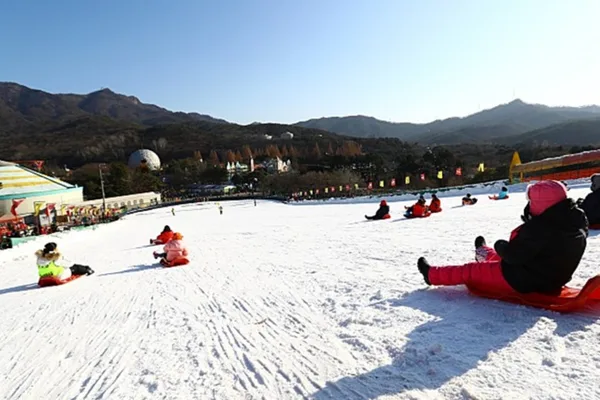 Seoul Land & Seoul Grand Park Day Trip with Transfers
