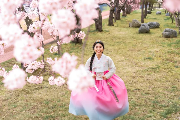 Jeonju Hanok Village Tour from Seoul