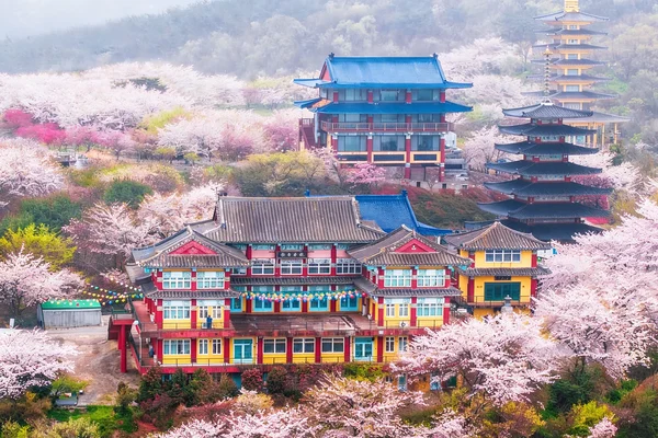Cherry Blossom One Day Tour from Seoul: Coastal & Temple Spring View