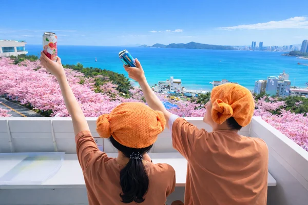 HillSpa Jjimjilbang Ticket in Busan Haeundae