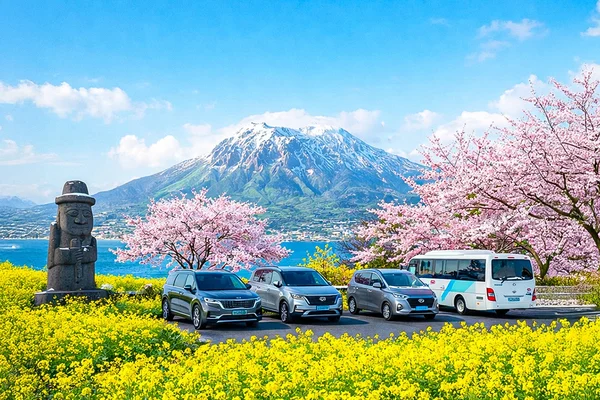Jeju Popular Sightseeing Private Car Charter with Guide