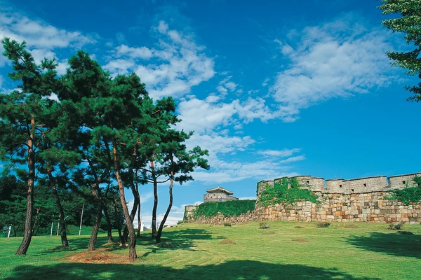 Suwon Hwaseong Tour from Seoul