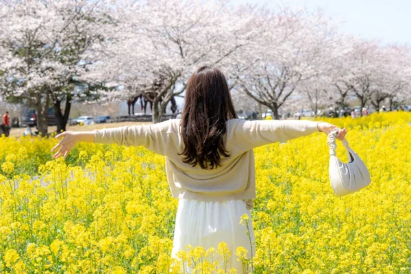 Jeju Spring Blossom Tour | Instagrammable Photo Spots
