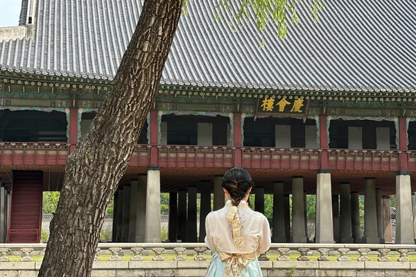 Private & Customer Tours with Tour Guide in Seoul