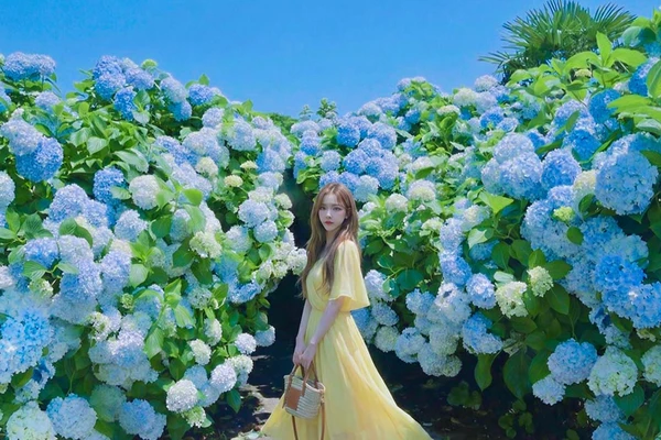 Jeju: UNESCO & Cultural Day Tour, Hanbok, HALLASAN, Camellia, Sauna (W/pick-up)
