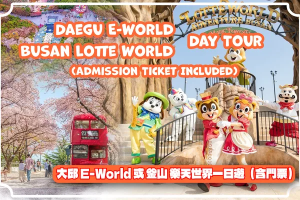 Daegu E-World/Busan Lotte World Shuttle + Ticket from Busan/Daegu