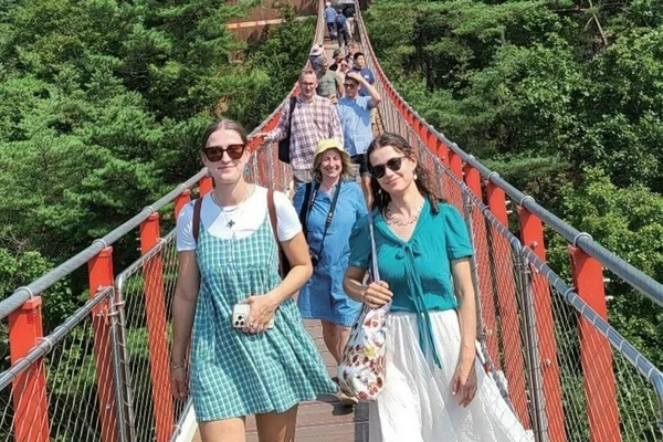 From Seoul : DMZ Tour: Exclusive Defector Talk & Suspension Bridge