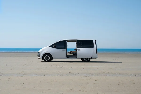 Private Car Tour: Seoul/Alpaca World/Nami Island/SokCho