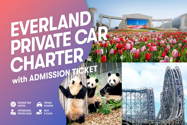 Seoul Private Car Charter to Everland with Admission Ticket