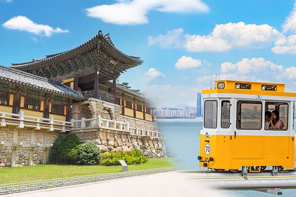 Busan Haeundae & Gyeongju Full-Day Guided Tour
