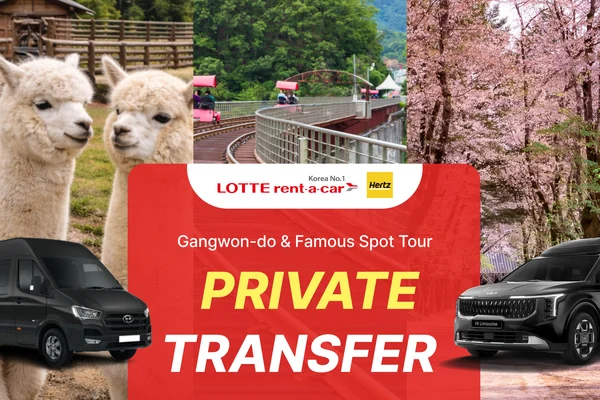 Best of Gangwon-do: Nami Island & Alpaca World Private Car Charter