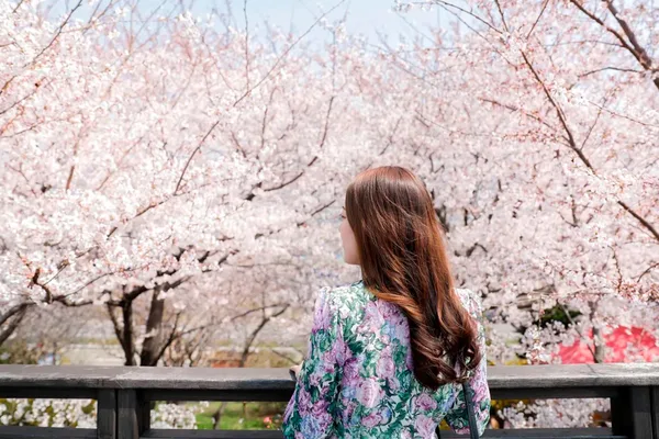 Chasing Cherry Blossom & Spring Flowers Day Tour from Seoul