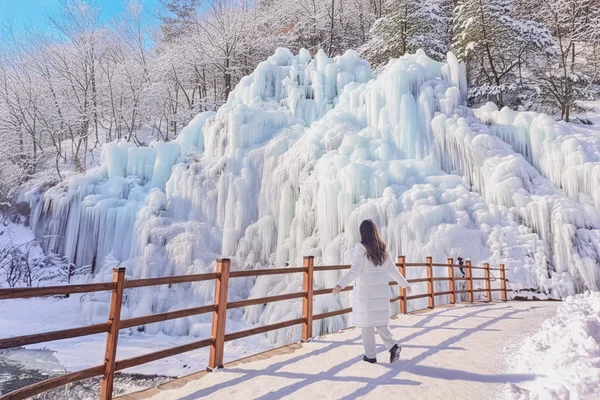 Seoul Eobi Ice Valley & Nami Island Winter Day Tour