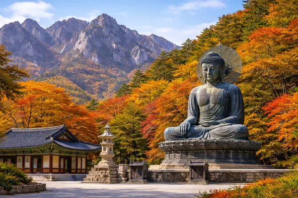 Mt.Seoraksan/Nami island/ Naksansa temple/Morning calm garden tour