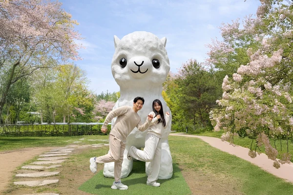 9-Hour Private Car Charter to Nami Island Suburb / Alpaca World from Seoul