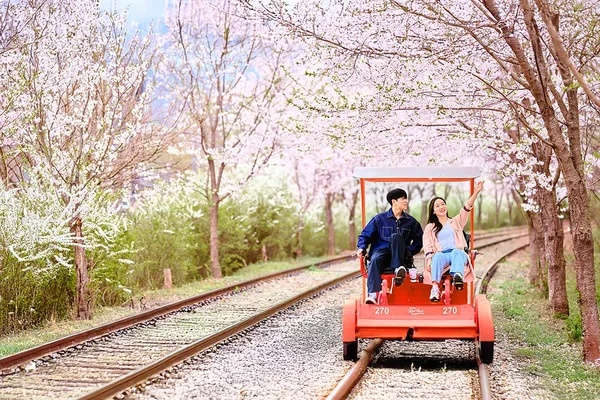 Seoul Nami Island, Garden & Rail Bike Day Tour