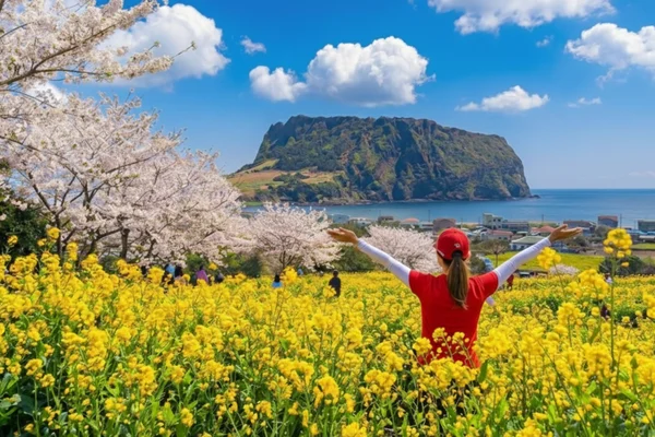 Best Jeju Day Tour: UNESCO & Essential Highlights (East/SouthWest)