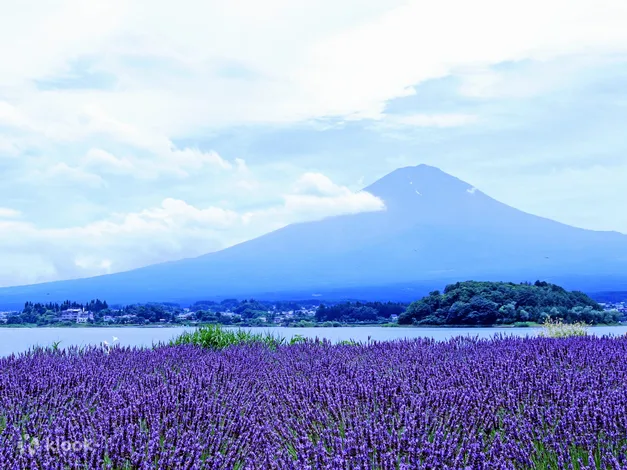 Mt. Fuji and Lake Kawaguchi Scenic Spots Day Tour from Tokyo - Klook United States