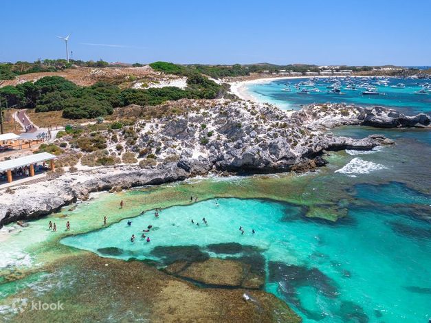 Rotto Reef Hillarys에서 Rottnest Island 페리 및 자전거 대여 - 클룩 Klook 한국