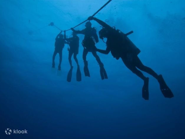 PADI Advanced Open Water Diver Level 1 in Florida with PADI 5 Star IDC
