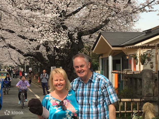 Tokyo Street Food & Cherry Blossom