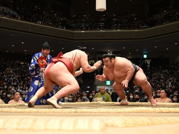 Гранд сумо май 2024. Grand Sumo Tournament заставка на телеканале боец.