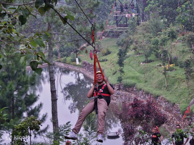 Pesona Bougenville yang Bikin Jatuh Cinta