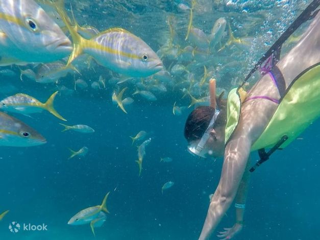 Key West Island Eco Tour with Kayak and Snorkeling from Miami - Klook