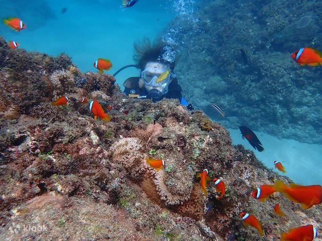 Pingtung Wanlitong Stand Up Paddle・Snorkeling - Klook Australia