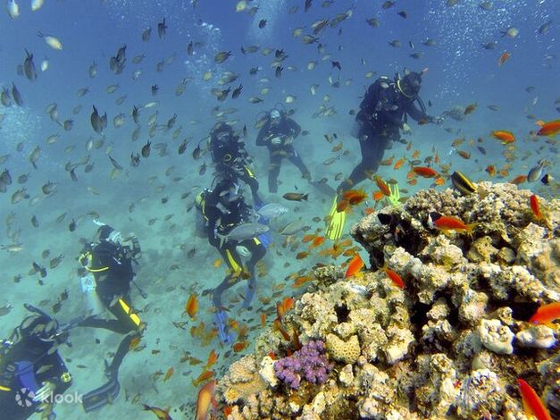 Red Sea Divers Hurghada