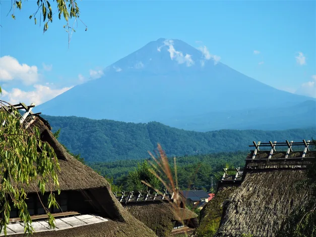 Mt. Fuji and Lake Kawaguchi Scenic Spots Day Tour from Tokyo - Klook United States