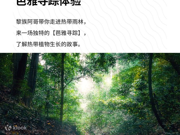 海南越冬旅行计划三亚往返5天4夜游 - Klook客路