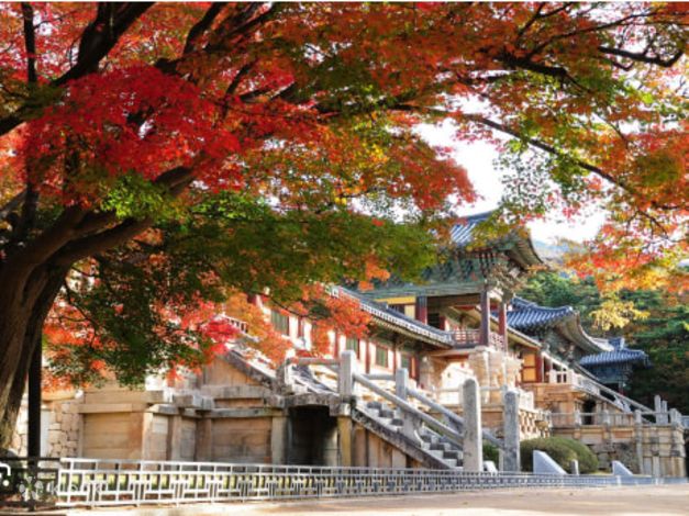 釜山出发庆州历史一日游：文化遗产和夜景 - Klook客路