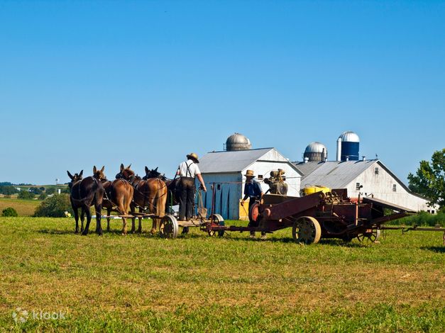 bus tours to amish country from nyc