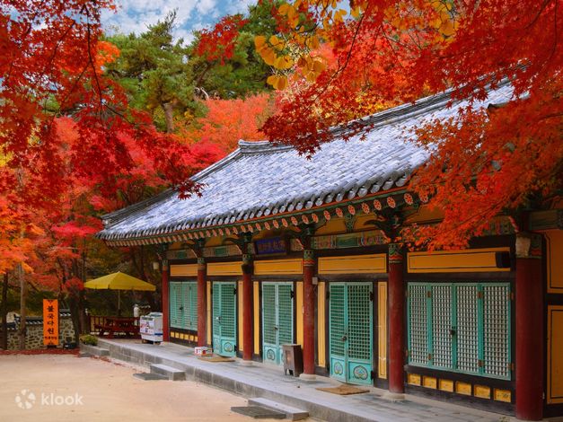 庆州皇理团路 x 佛国寺赏枫秋游（釜山） - Klook客路