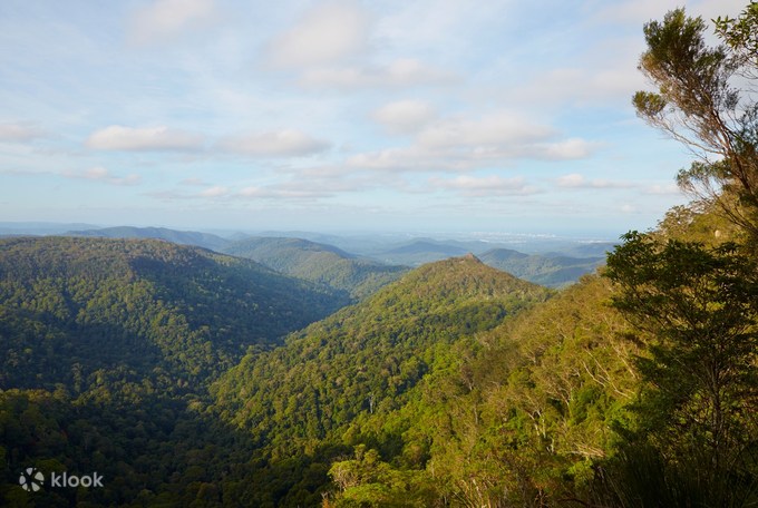 1 Day Springbrook Private Car Charter from Gold Coast - Klook