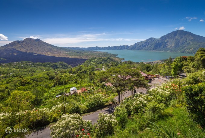 Terunyan Village and Kintamani Day Tour in Bali - Klook Canada
