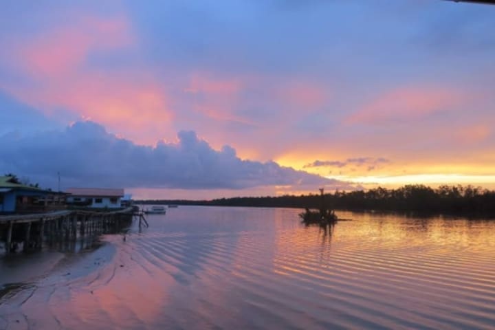 Weston Wetlands Monkey, Sunset & Fireflies Cruise