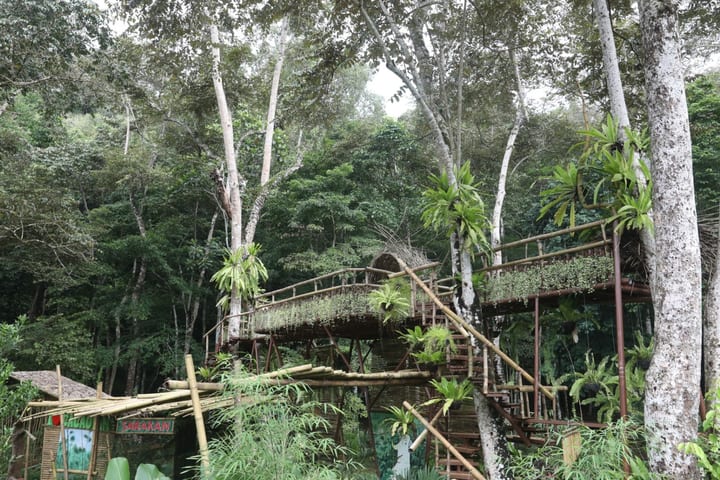 Cacaoyan Forest Park Ticket and Lunch