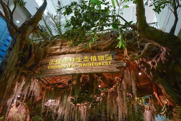 Guangzhou Zhengjia Rainforest Ecological Botanical Garden Tickets