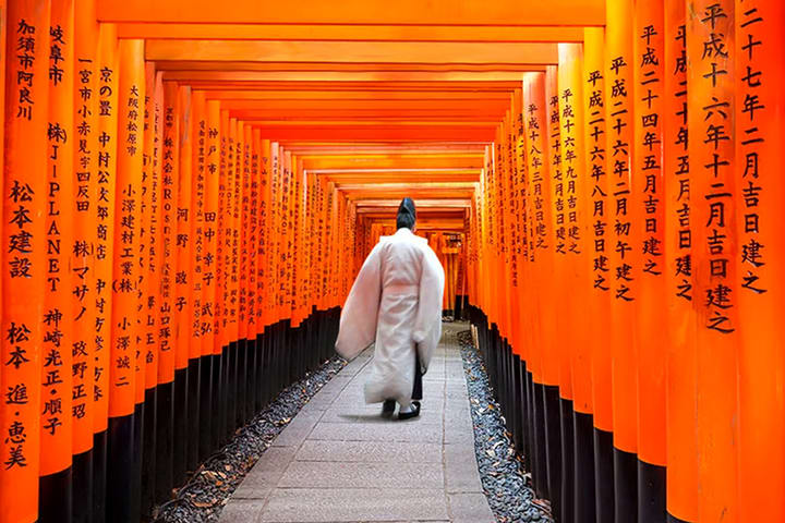 Tur Sehari ke Arashiyama, Kastil Nijo, dan Fushimi Inari di Kyoto
