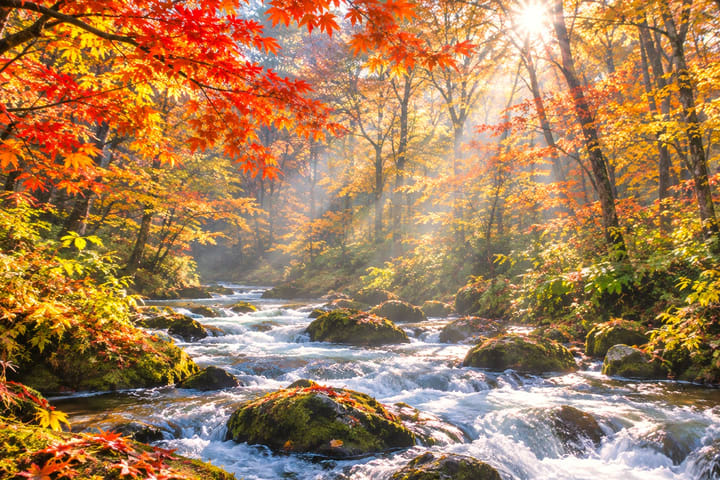 Aomori Small Group Day Tour | Oirase Stream, Hakkoda Mountains, Takayama Inari Shrine, Tanesashi Coast